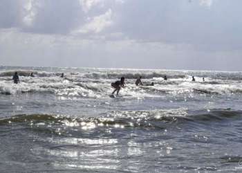 image00006