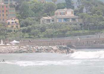 IMG_8501