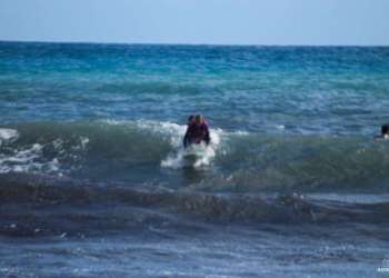 IMG_9513