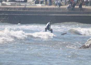 IMG_1894-dimensioni-grandi