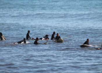 IMG_1917-dimensioni-grandi