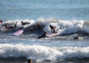 IMG_1965-dimensioni-grandi