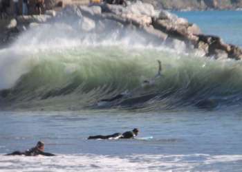 IMG_1969-dimensioni-grandi