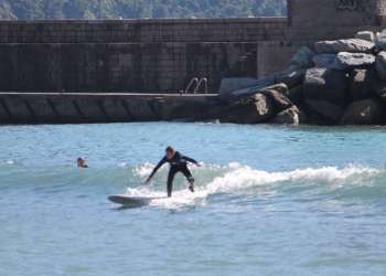 IMG_2022-dimensioni-grandi