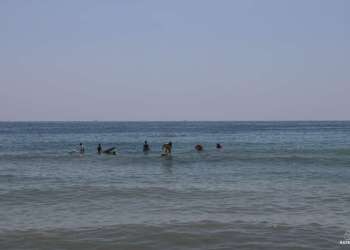 IMG_0753