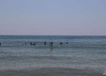 IMG_0754