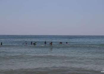 IMG_0755