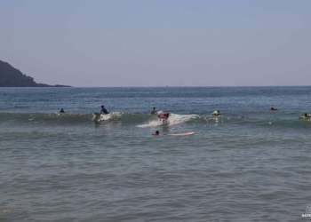 IMG_0771