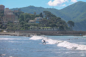 RECCO 08.05.2025