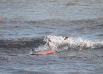 1_IMG_8667-dimensioni-grandi