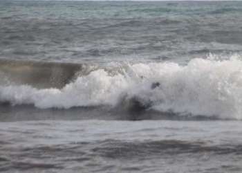 1_IMG_8707-dimensioni-grandi