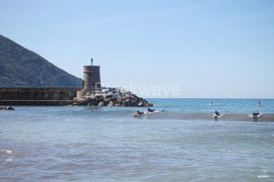 RECCO 12.06.2026
