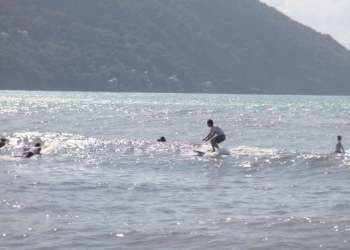 2_IMG_8831-dimensioni-grandi