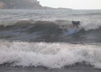 2_IMG_9118-dimensioni-grandi