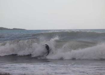 2_IMG_9241-dimensioni-grandi