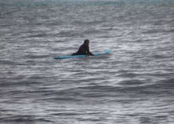 IMG_9085-dimensioni-grandi