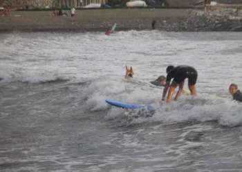 IMG_9196-dimensioni-grandi