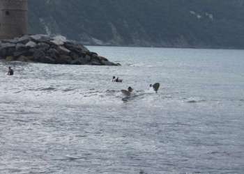 IMG_9318-dimensioni-grandi