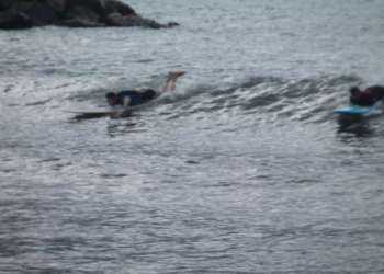 IMG_9320-dimensioni-grandi