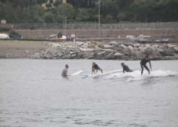 IMG_9634-dimensioni-grandi