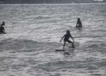 IMG_0047-dimensioni-grandi