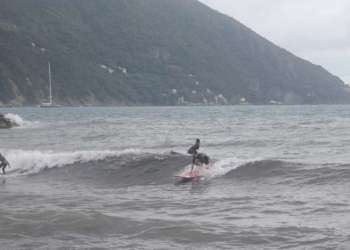 IMG_0190-dimensioni-grandi