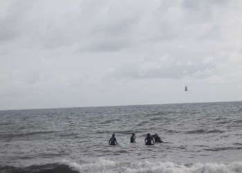 IMG_0201-dimensioni-grandi