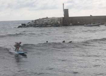 IMG_0251-dimensioni-grandi