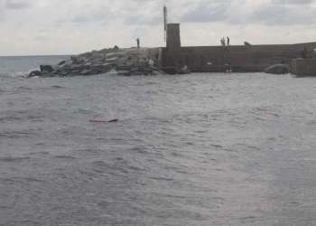 IMG_0267-dimensioni-grandi