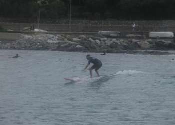 IMG_9842-dimensioni-grandi