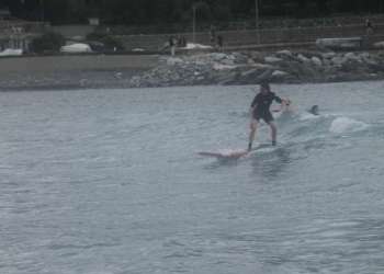 IMG_9868-dimensioni-grandi