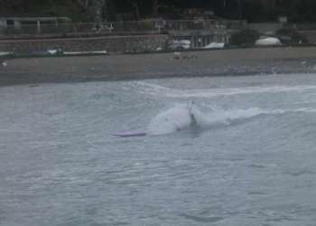 IMG_9874-dimensioni-grandi