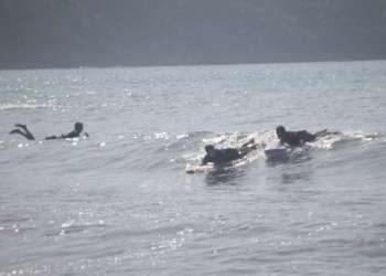 IMG_0287-dimensioni-grandi