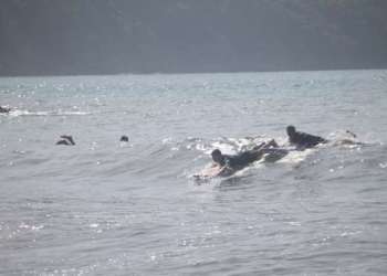 IMG_0288-dimensioni-grandi