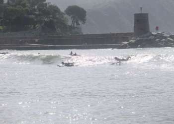 IMG_0390-dimensioni-grandi