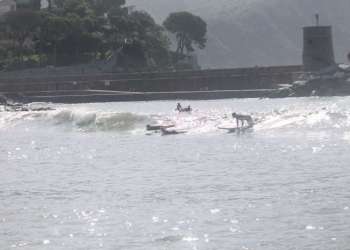 IMG_0391-dimensioni-grandi