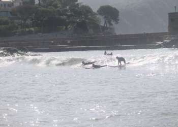 IMG_0392-dimensioni-grandi