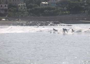 IMG_0398-dimensioni-grandi