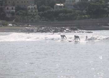 IMG_0399-dimensioni-grandi