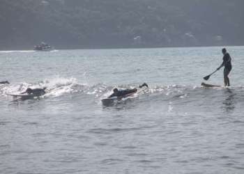 IMG_0409-dimensioni-grandi