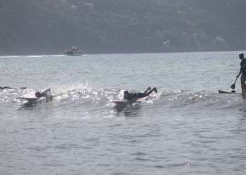 IMG_0410-dimensioni-grandi