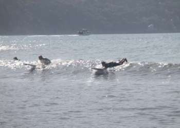 IMG_0411-dimensioni-grandi