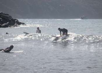 IMG_0414-dimensioni-grandi