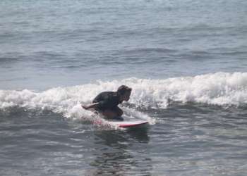 IMG_0443-dimensioni-grandi