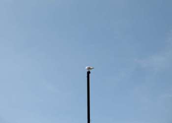 IMG_0513-dimensioni-grandi