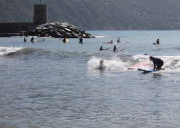 IMG_0555-dimensioni-grandi