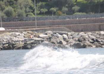 IMG_0586-dimensioni-grandi