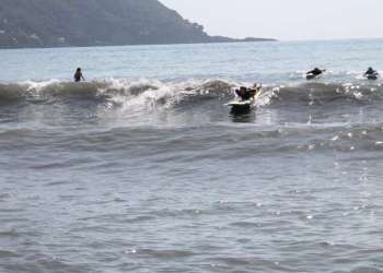 IMG_0640-dimensioni-grandi