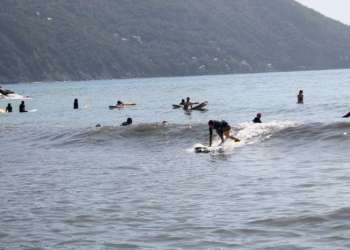 IMG_0667-dimensioni-grandi