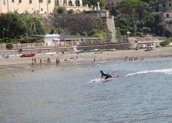 IMG_0814-dimensioni-grandi